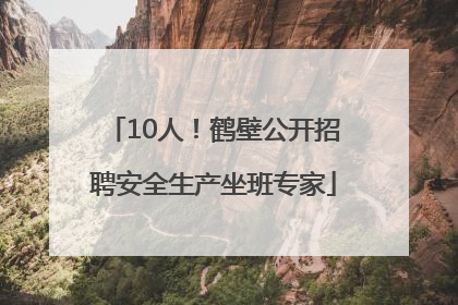 10人！鹤壁公开招聘安全生产坐班专家