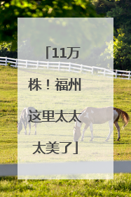 11万株！福州这里太太太美了