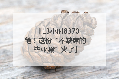 13小时8370笔！这份“不缺席的毕业照”火了