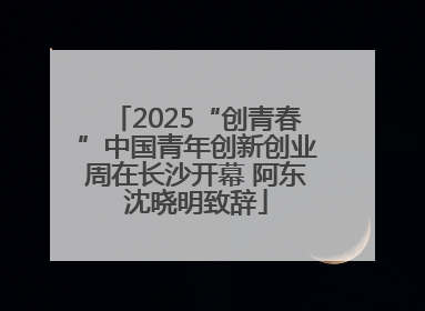 2025“创青春”中国青年创新创业周在长沙开幕 阿东沈晓明致辞
