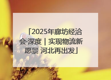 2025年廊坊经洽会·深度｜实现物流新愿景 河北再出发