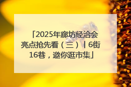 2025年廊坊经洽会亮点抢先看（三）丨6街16巷，邀你逛市集