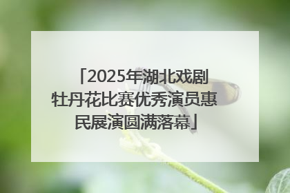 2025年湖北戏剧牡丹花比赛优秀演员惠民展演圆满落幕