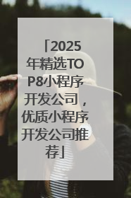 2025年精选TOP8小程序开发公司，优质小程序开发公司推荐