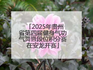 2025年贵州省第四届健身气功气舞暨段位积分赛在安龙开赛