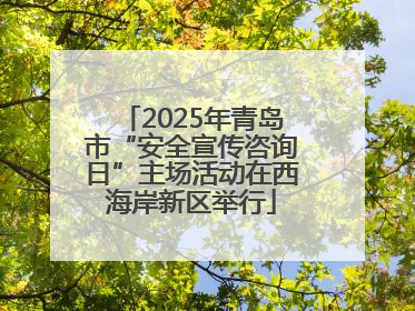 2025年青岛市“安全宣传咨询日”主场活动在西海岸新区举行
