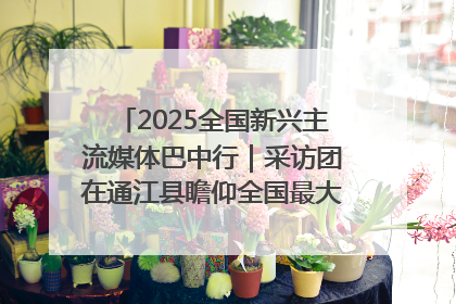 2025全国新兴主流媒体巴中行｜采访团在通江县瞻仰全国最大红军烈士陵园