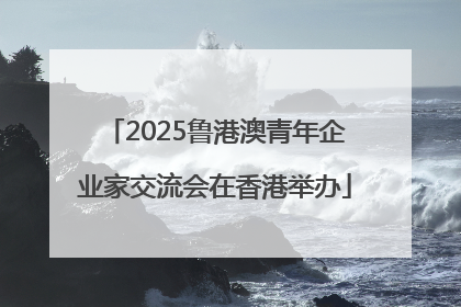 2025鲁港澳青年企业家交流会在香港举办