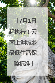 7月1日起执行！云南上调城乡最低生活保障标准