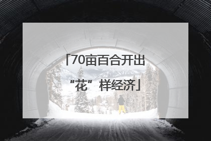 70亩百合开出“花”样经济