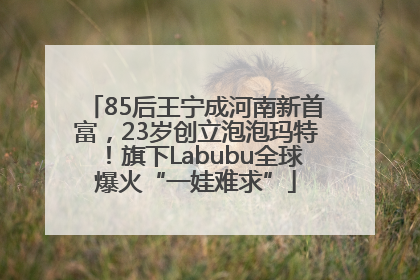 85后王宁成河南新首富，23岁创立泡泡玛特！旗下Labubu全球爆火“一娃难求”