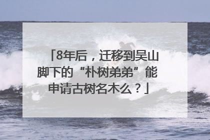 8年后，迁移到吴山脚下的“朴树弟弟”能申请古树名木么？