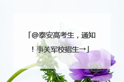@泰安高考生，通知！事关军校招生→