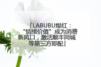 LABUBU爆红：“情绪价值”成为消费新风口，激活顺丰同城等第三方即配