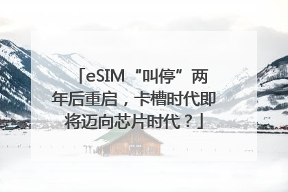 eSIM“叫停”两年后重启，卡槽时代即将迈向芯片时代？